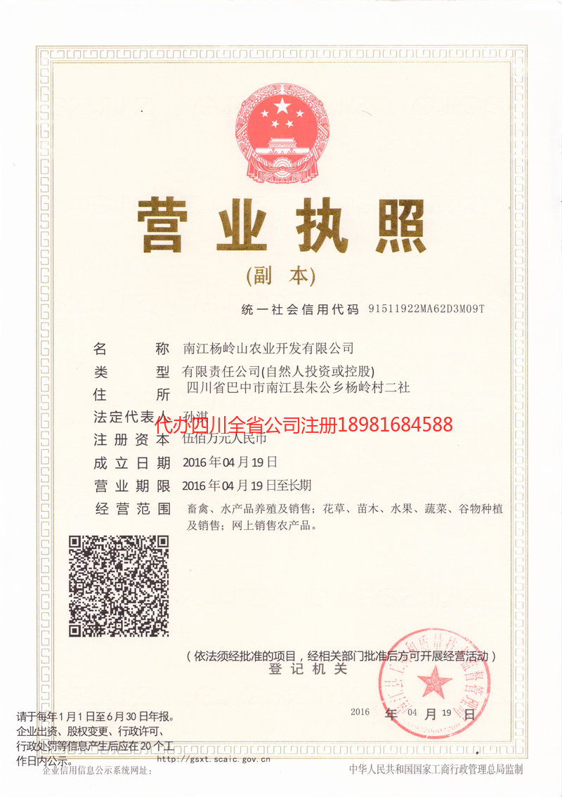 桐城桐城杨岭山农业开发有限公司